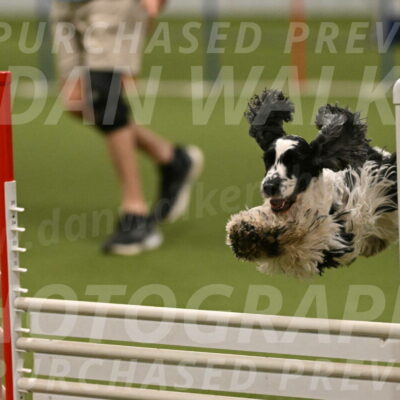 Winston-David-and-Christy-Thorley-02468