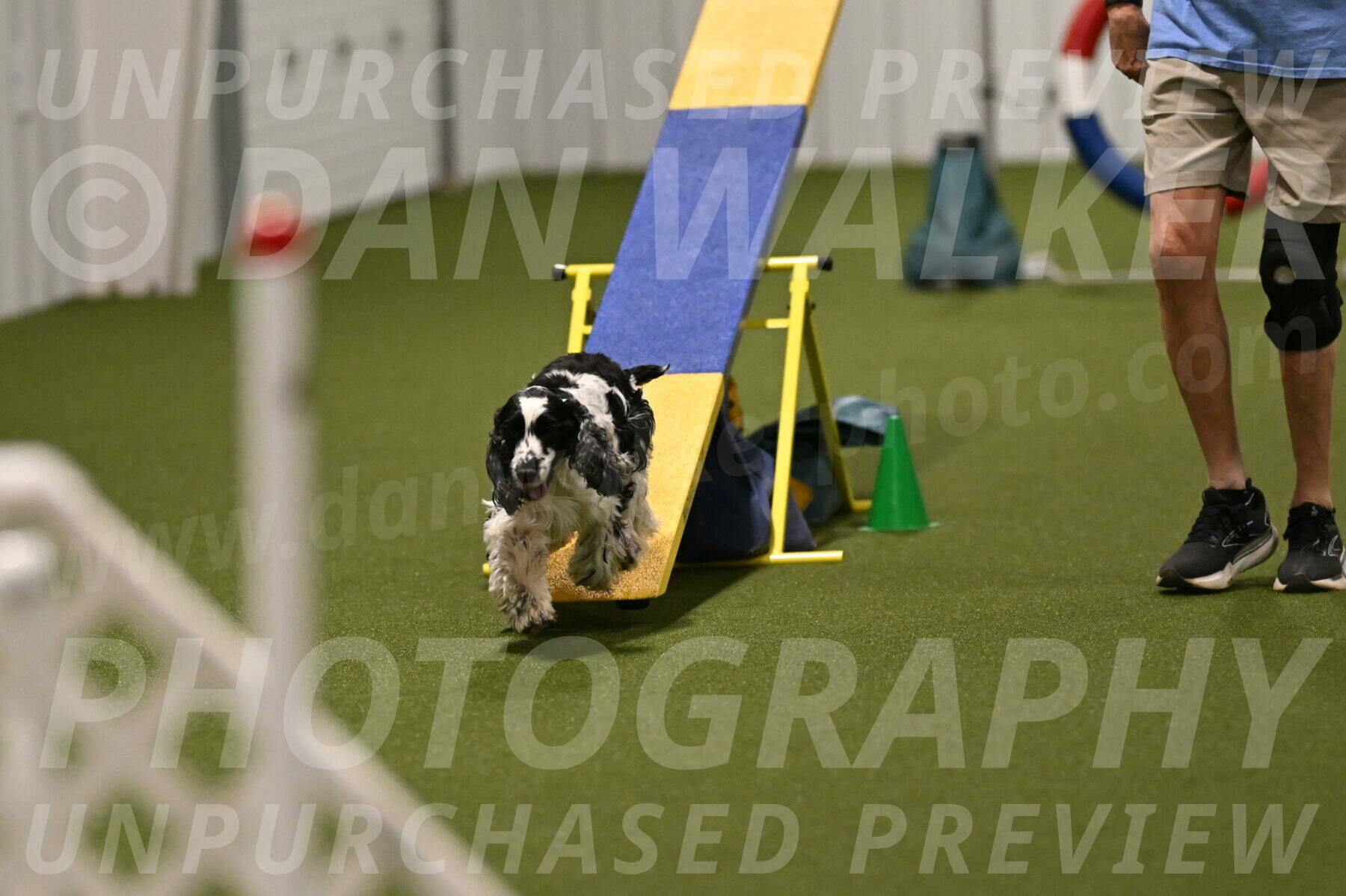 Winston-David-and-Christy-Thorley-02469