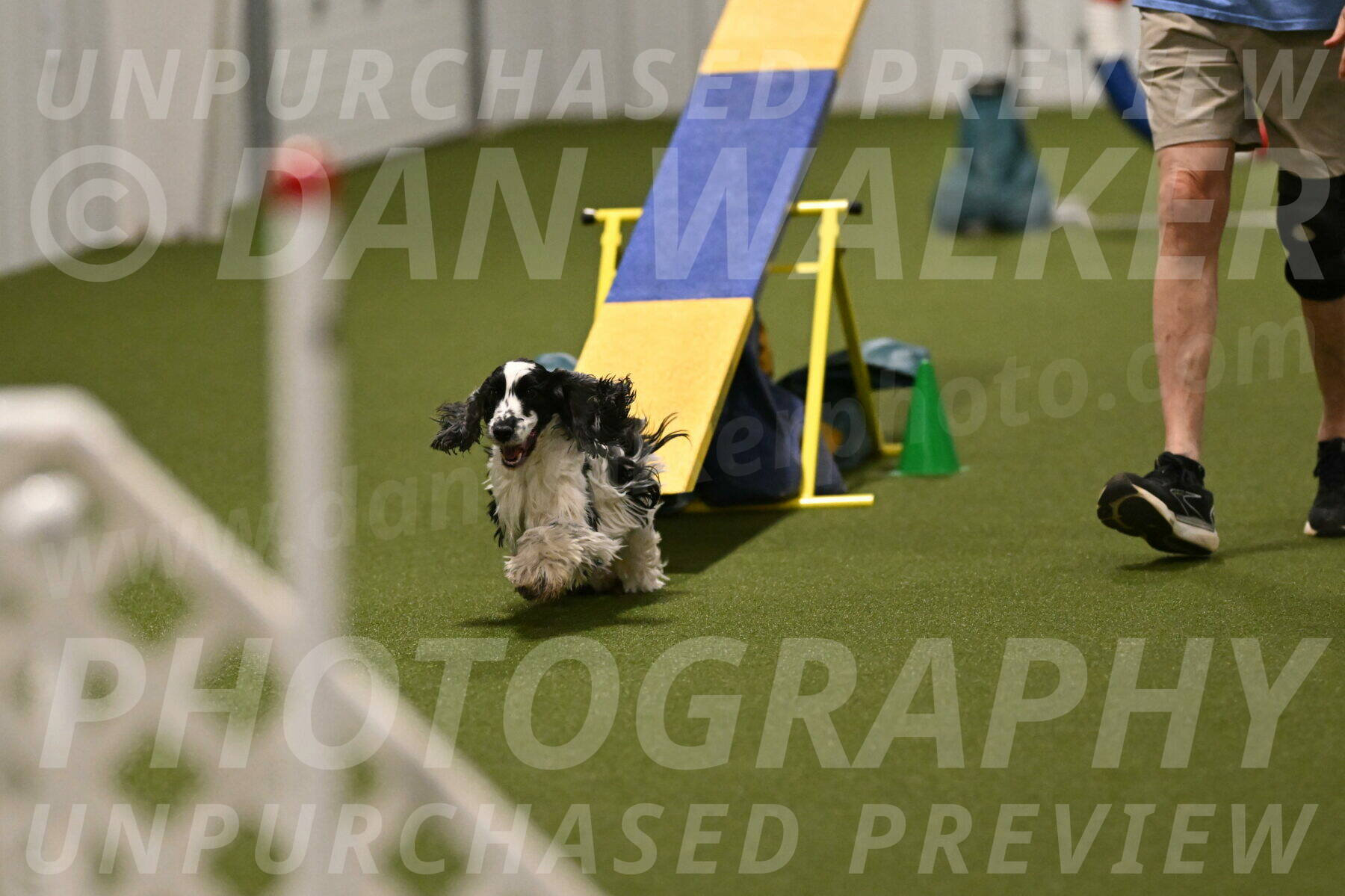 Winston-David-and-Christy-Thorley-02470