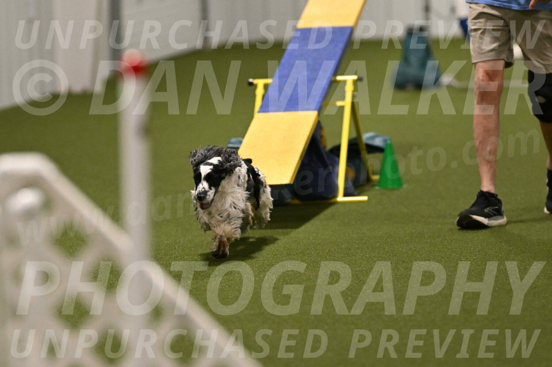 Winston-David-and-Christy-Thorley-02471