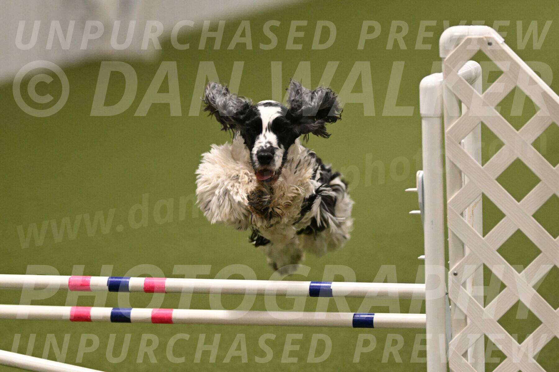 Winston-David-and-Christy-Thorley-02472