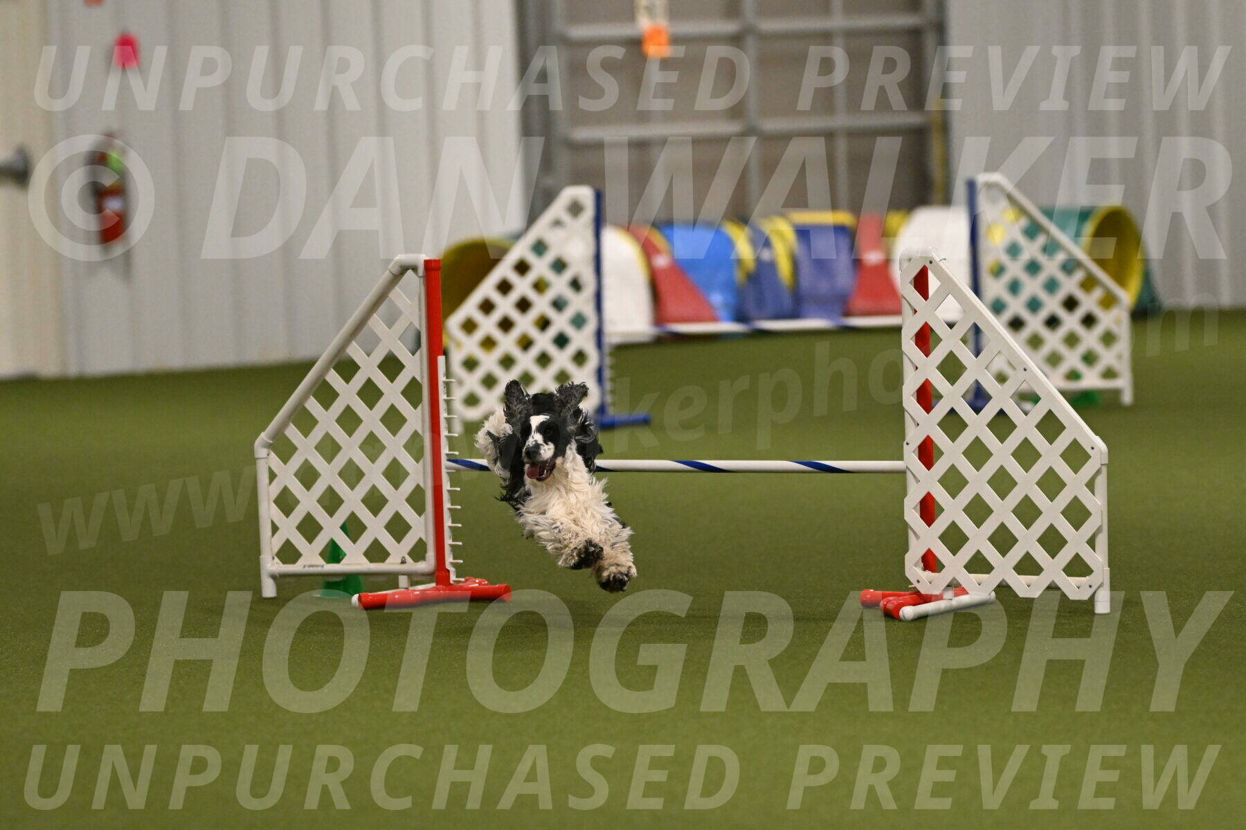 Winston-David-and-Christy-Thorley-02479