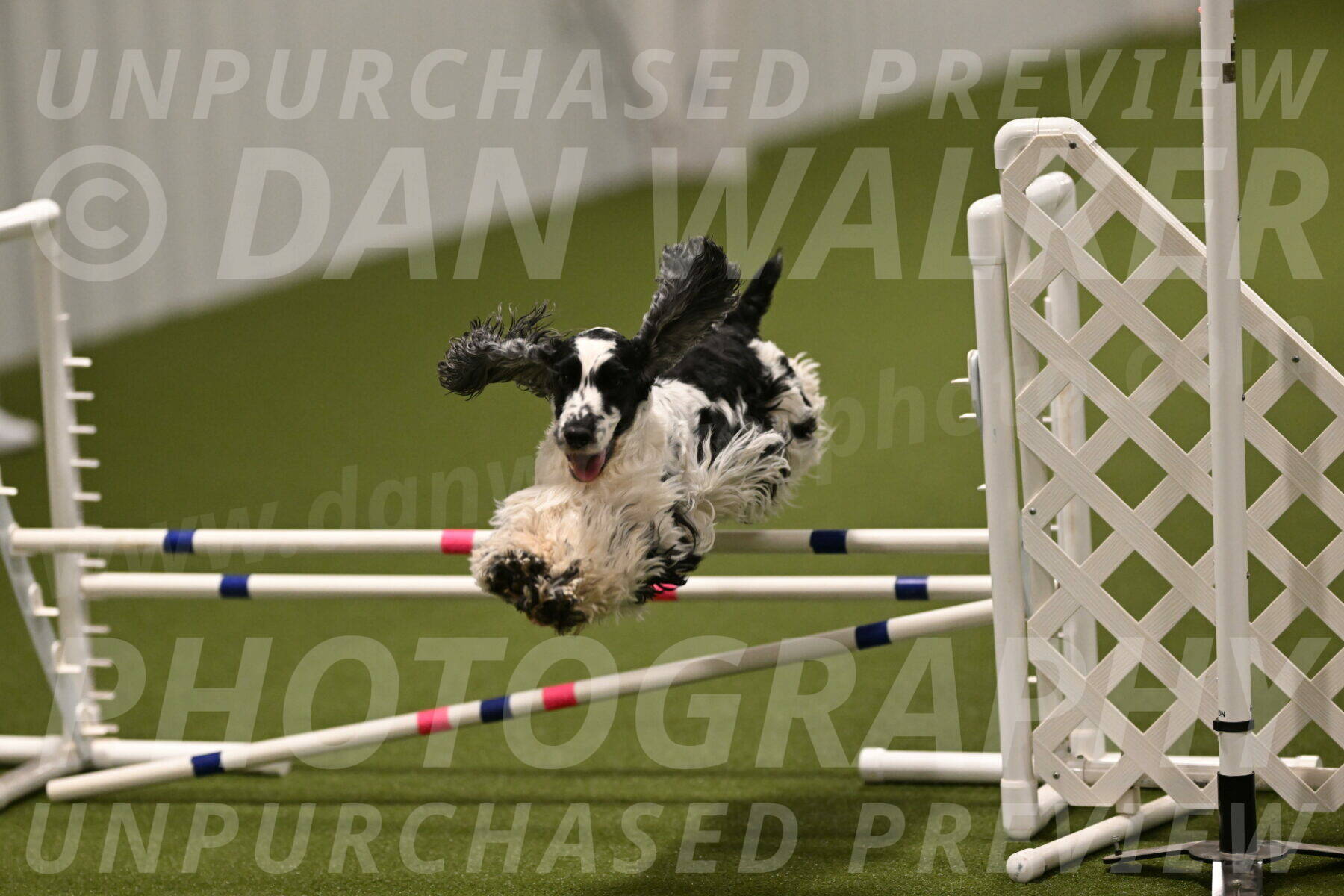 Winston-David-and-Christy-Thorley-02491