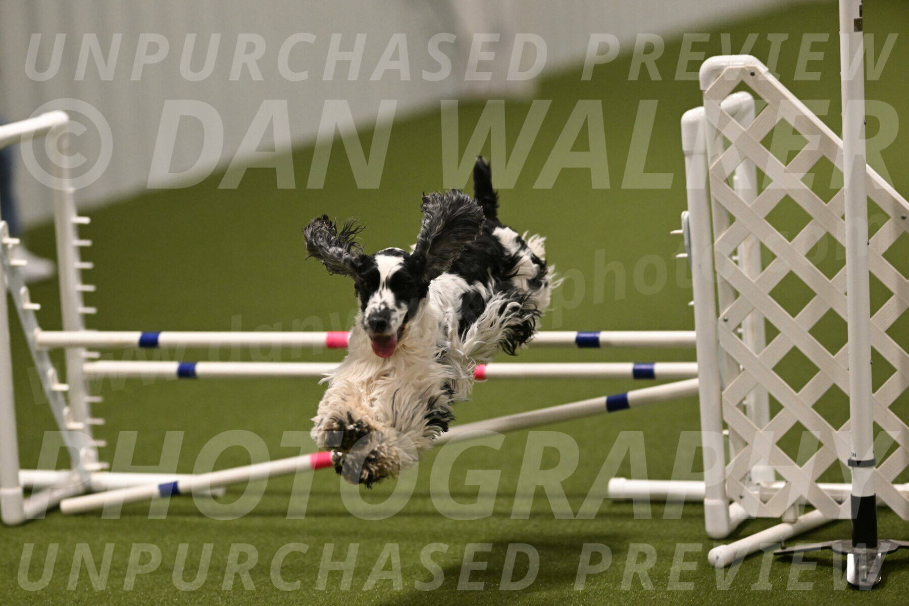 Winston-David-and-Christy-Thorley-02492