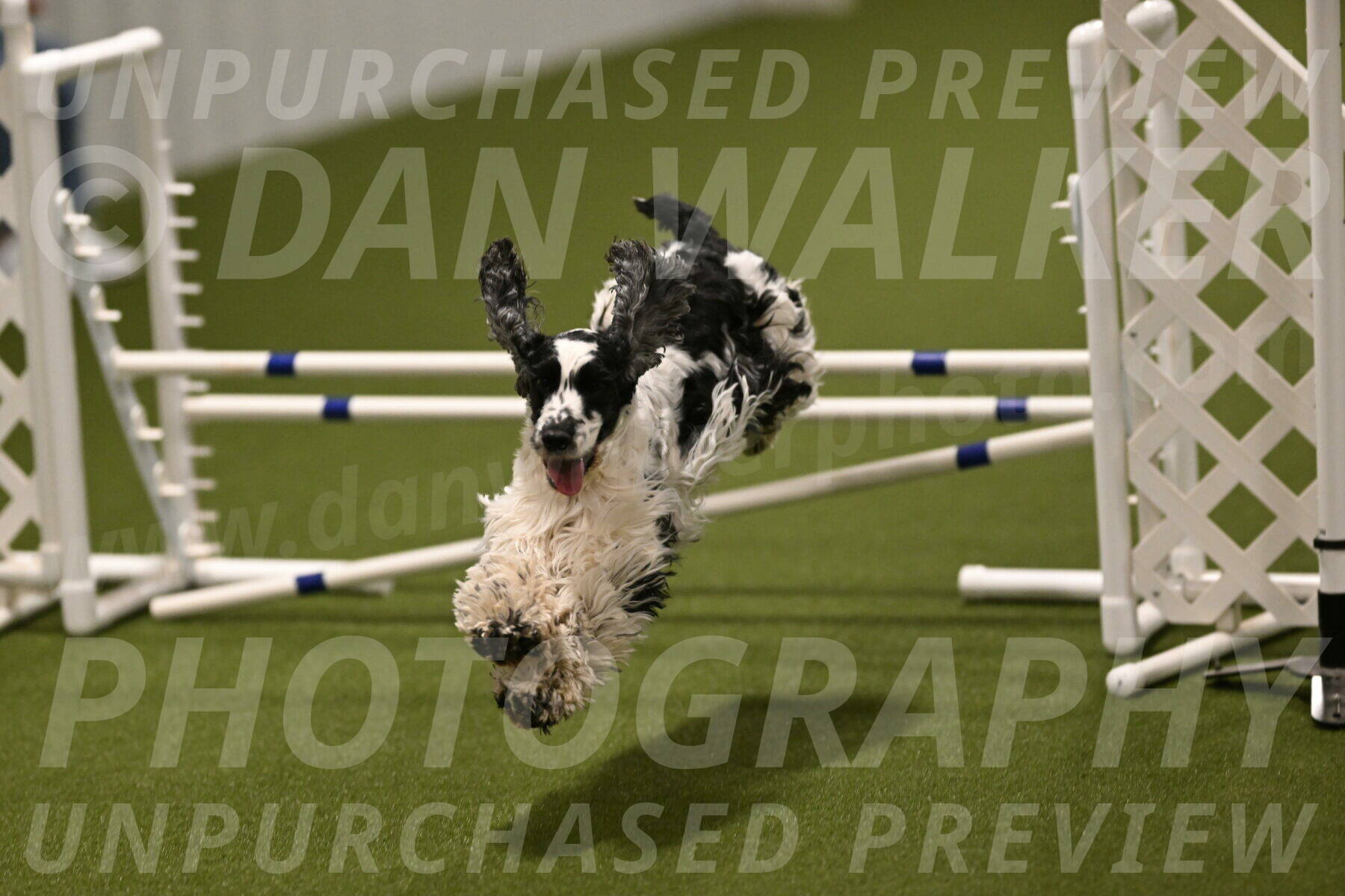 Winston-David-and-Christy-Thorley-02493