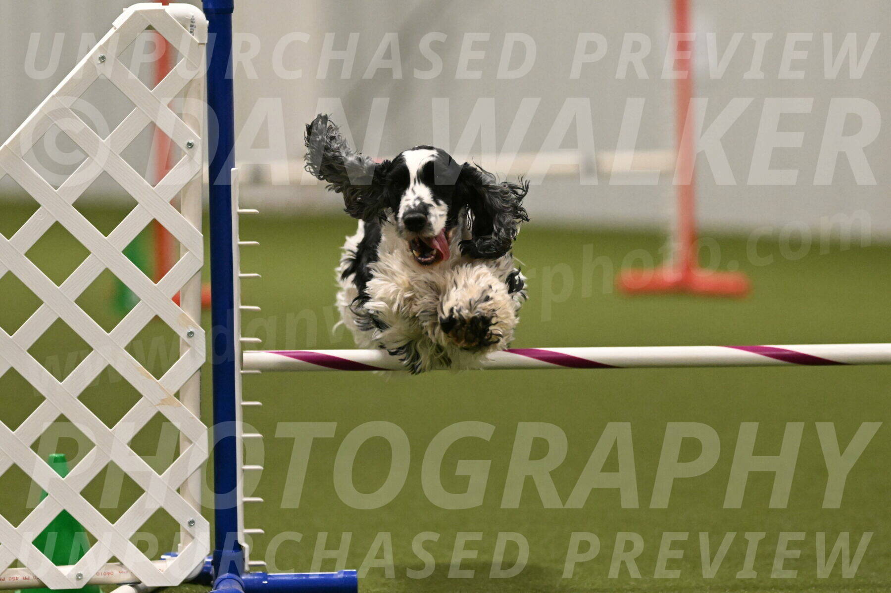 Winston-David-and-Christy-Thorley-02495