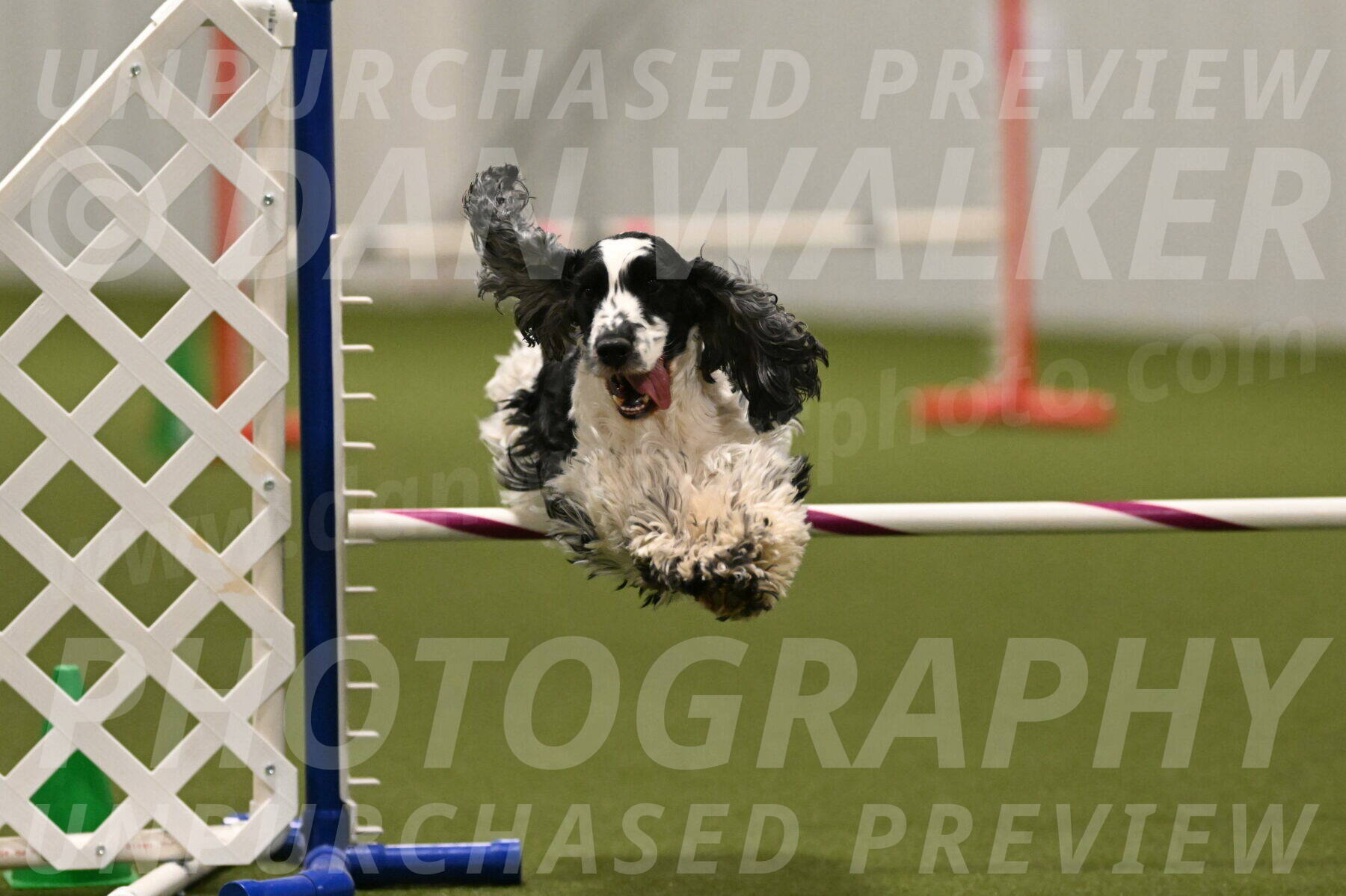 Winston-David-and-Christy-Thorley-02496