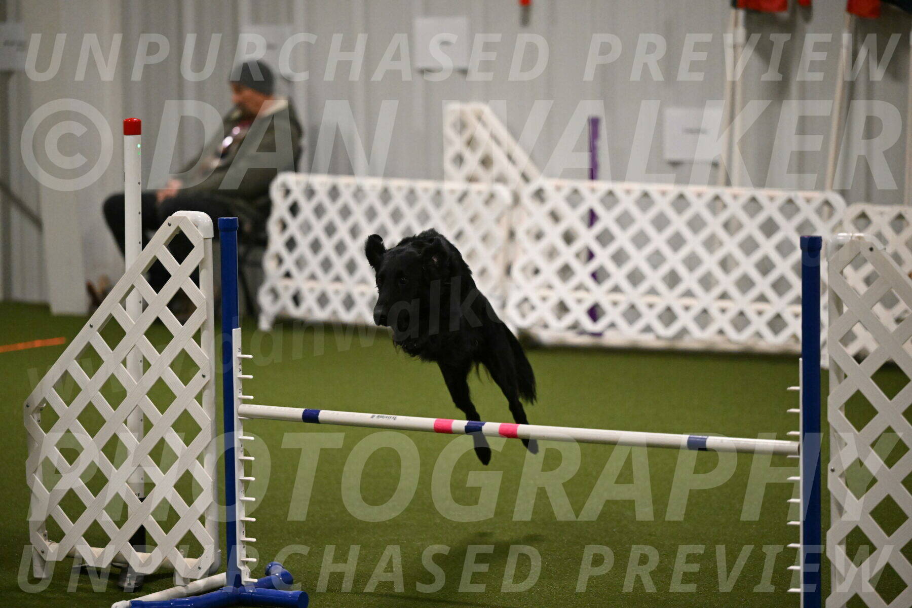 Zinnia-Deborah-Ting-03165