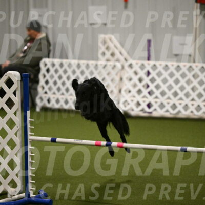 Zinnia-Deborah-Ting-03165