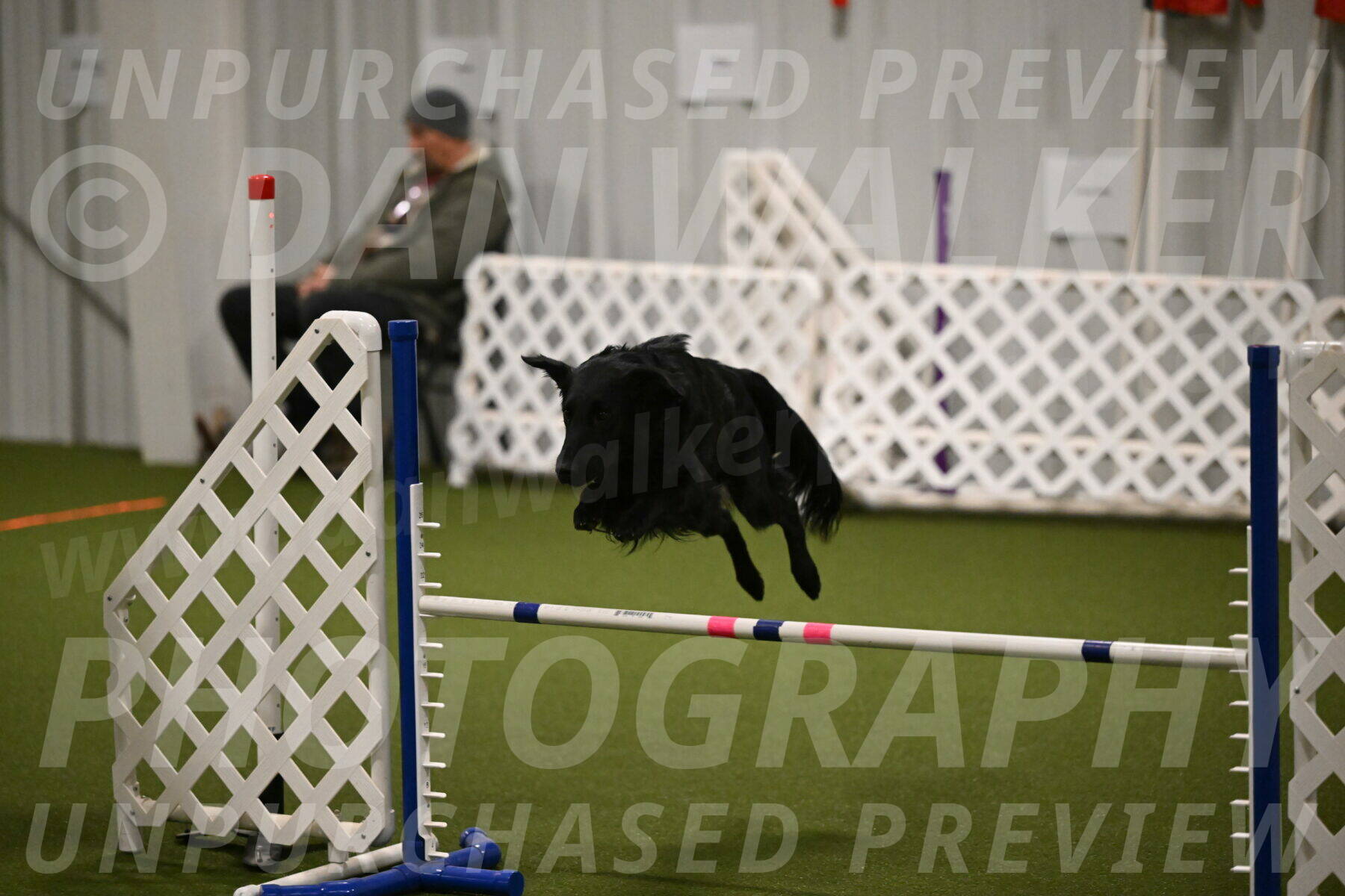 Zinnia-Deborah-Ting-03166