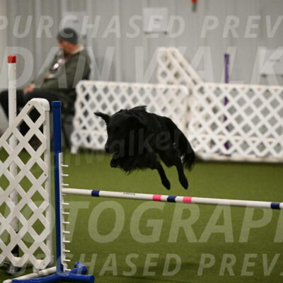 Zinnia-Deborah-Ting-03166