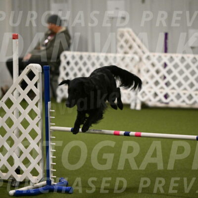 Zinnia-Deborah-Ting-03167