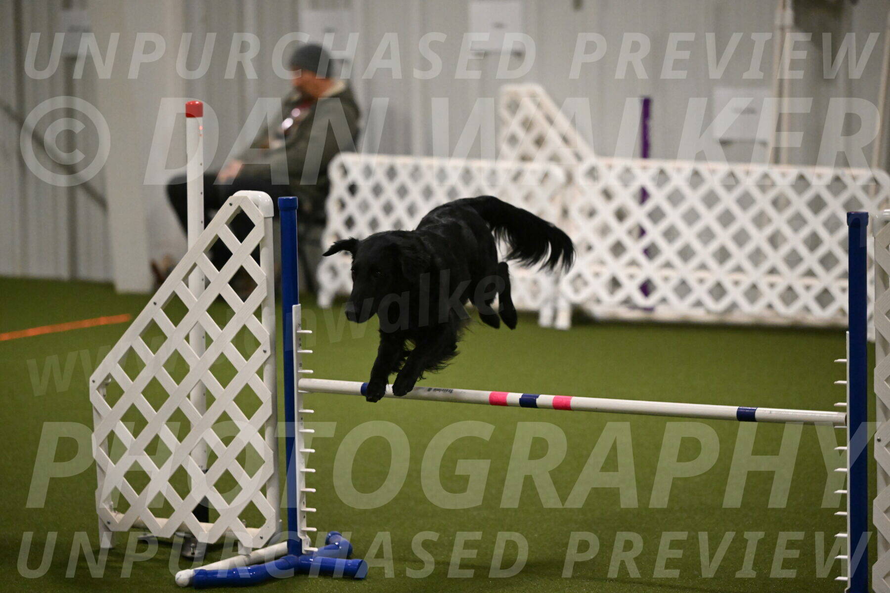 Zinnia-Deborah-Ting-03167