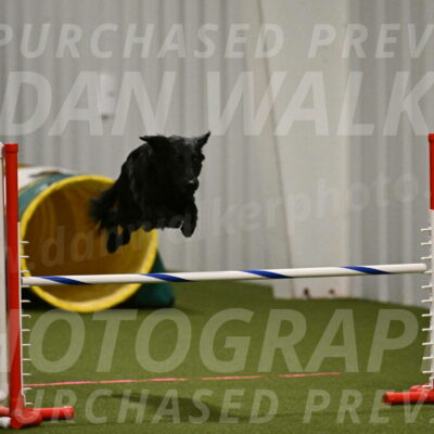 Zinnia-Deborah-Ting-03168