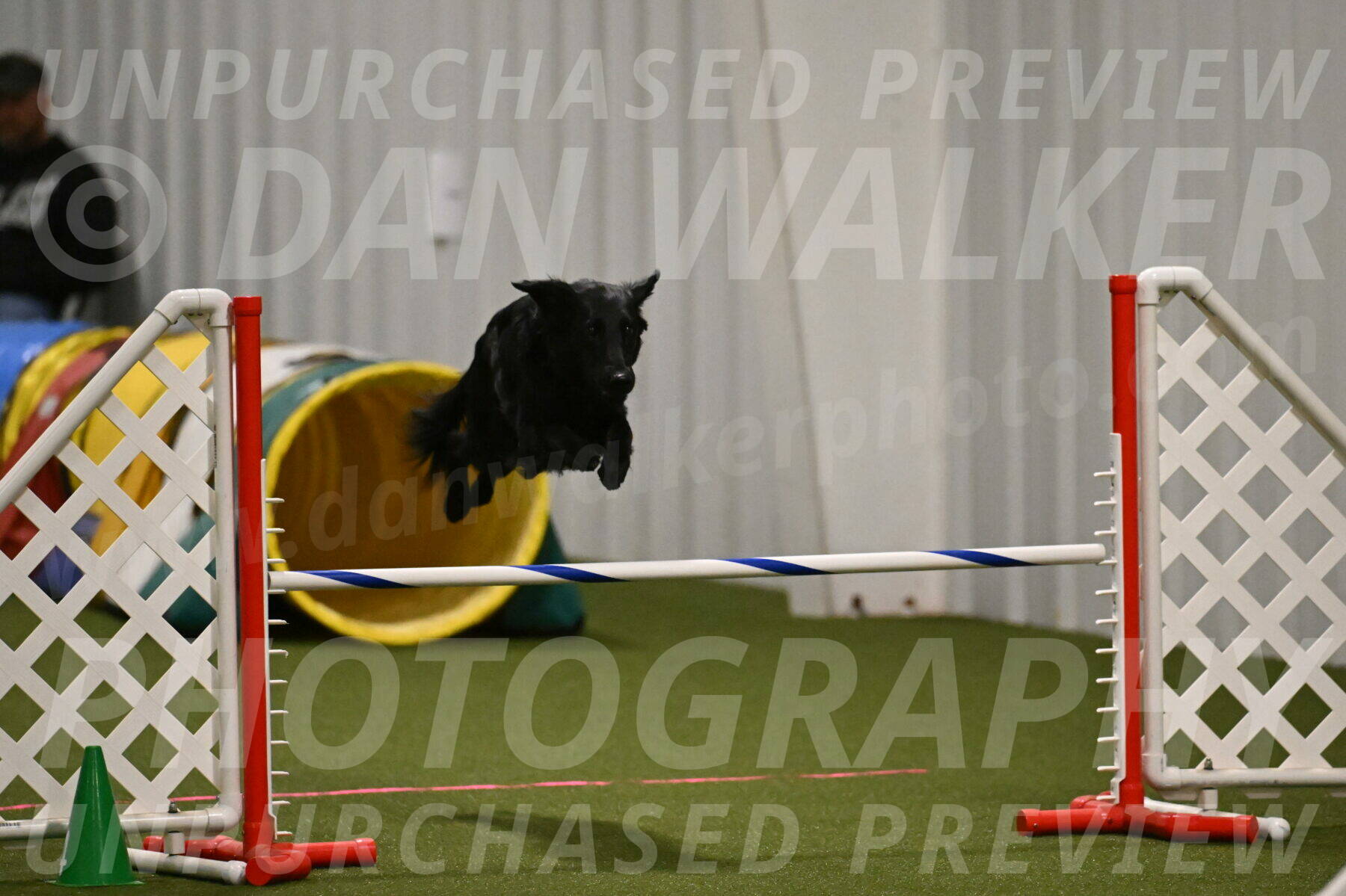 Zinnia-Deborah-Ting-03168