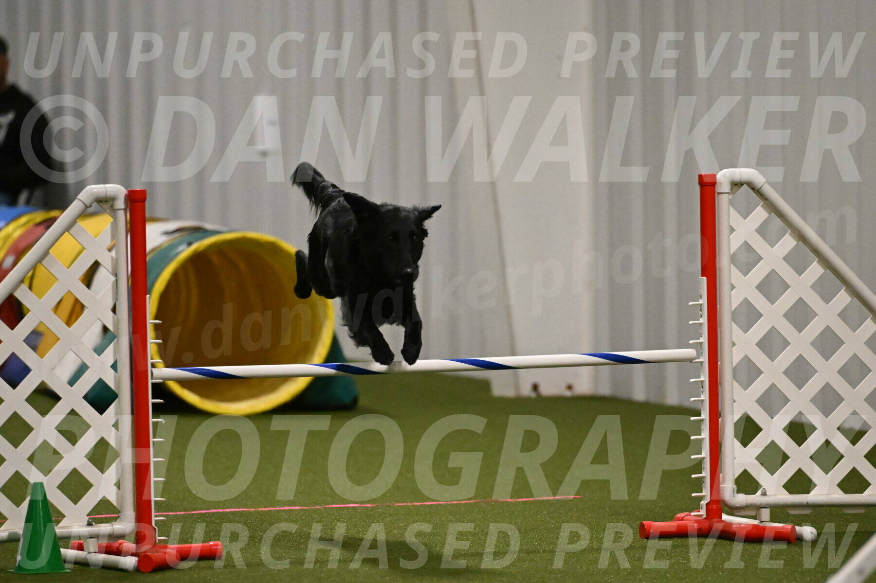 Zinnia-Deborah-Ting-03169