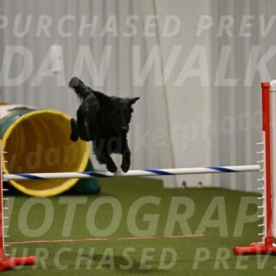 Zinnia-Deborah-Ting-03169