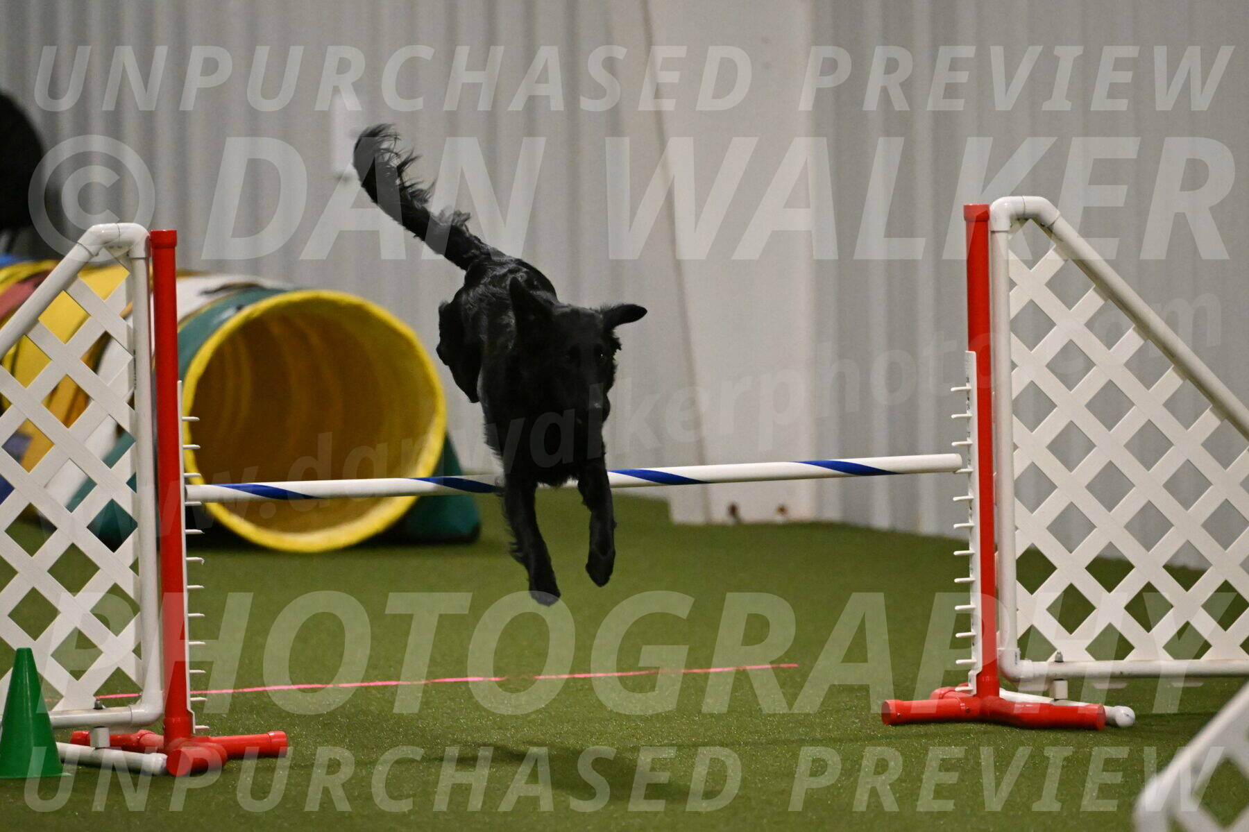 Zinnia-Deborah-Ting-03170