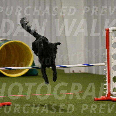 Zinnia-Deborah-Ting-03170