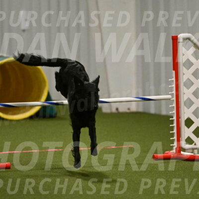 Zinnia-Deborah-Ting-03171