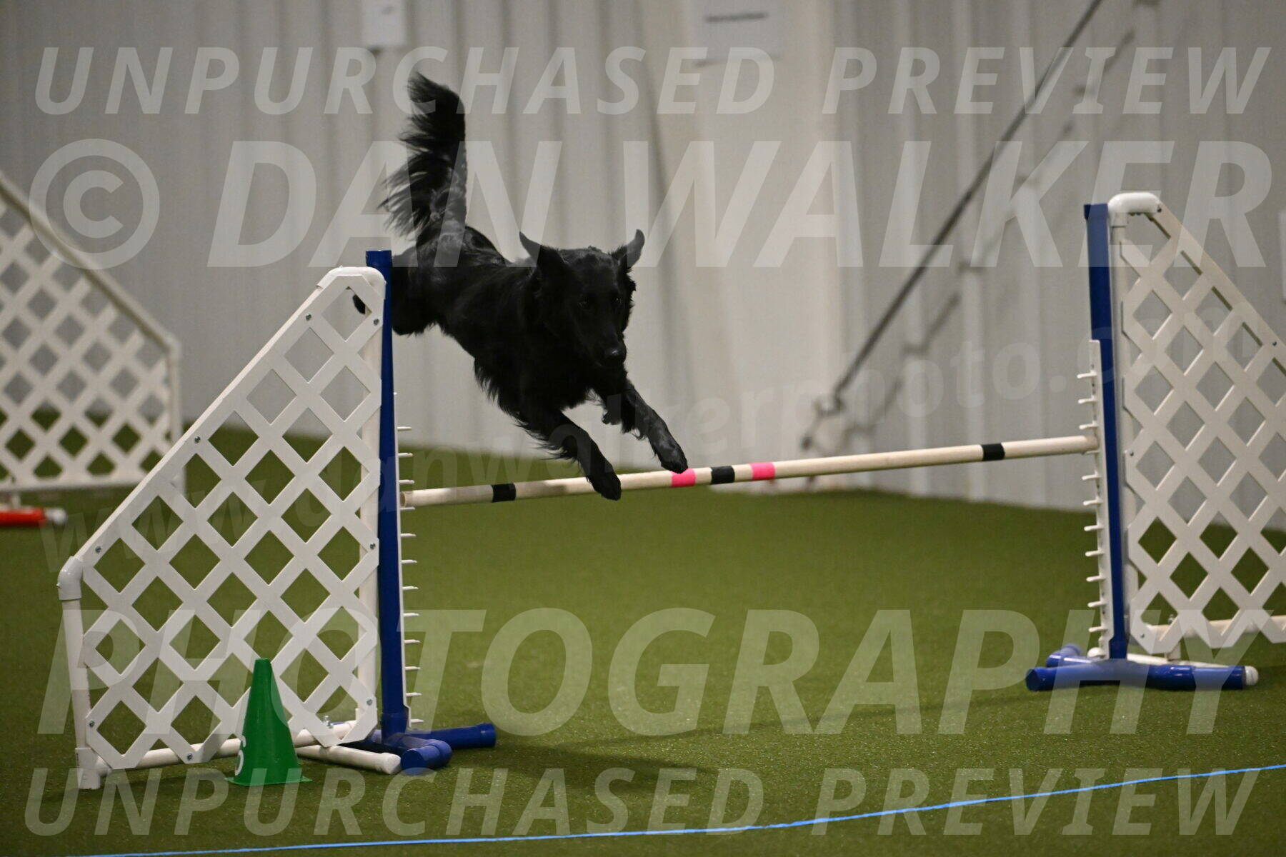 Zinnia-Deborah-Ting-03173