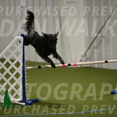 Zinnia-Deborah-Ting-03173