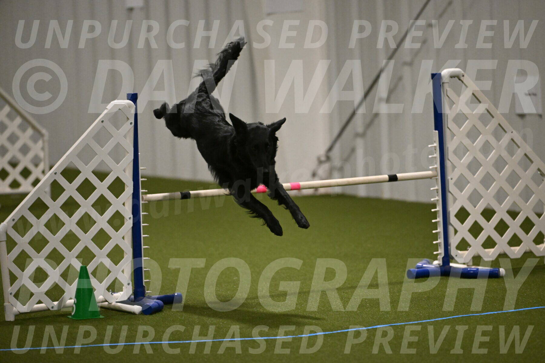 Zinnia-Deborah-Ting-03174