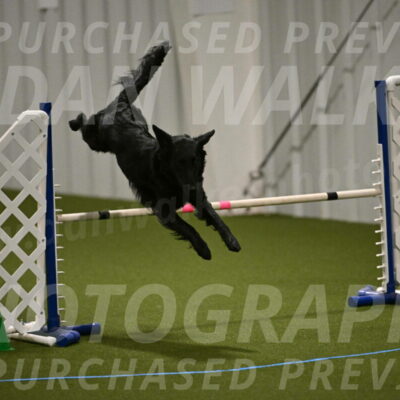 Zinnia-Deborah-Ting-03174