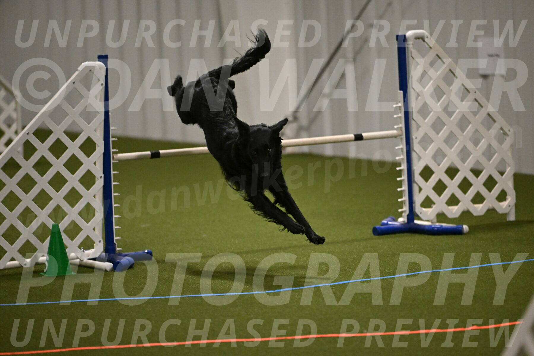 Zinnia-Deborah-Ting-03175