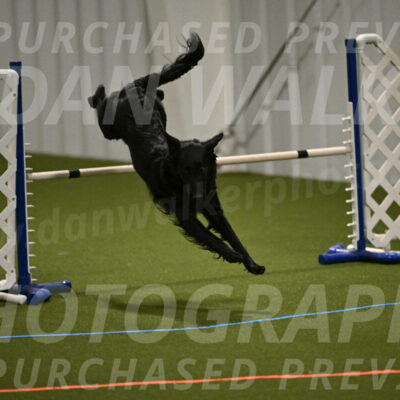 Zinnia-Deborah-Ting-03175