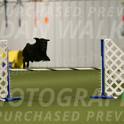 Zinnia-Deborah-Ting-03176