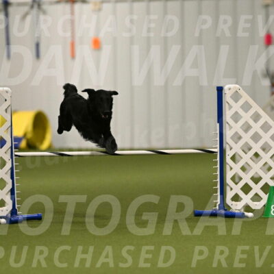 Zinnia-Deborah-Ting-03177