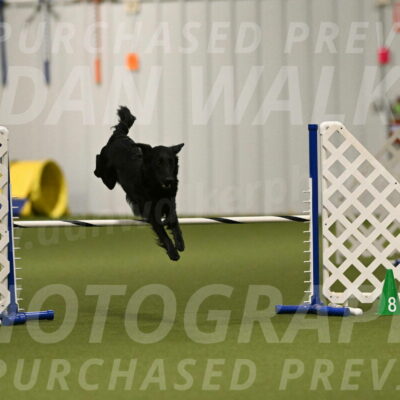 Zinnia-Deborah-Ting-03178