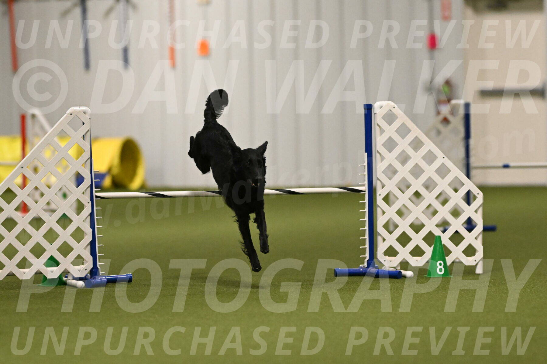 Zinnia-Deborah-Ting-03179