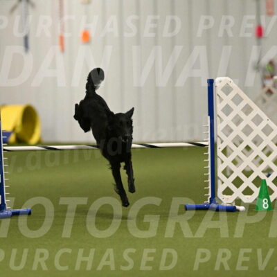 Zinnia-Deborah-Ting-03179