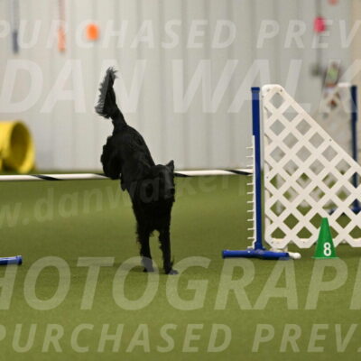 Zinnia-Deborah-Ting-03180