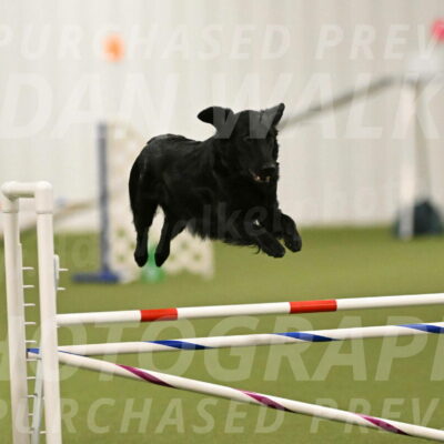 Zinnia-Deborah-Ting-03181