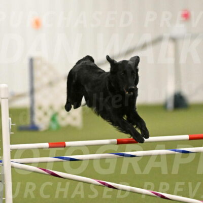 Zinnia-Deborah-Ting-03182