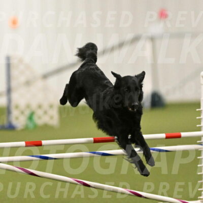 Zinnia-Deborah-Ting-03183