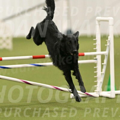 Zinnia-Deborah-Ting-03184