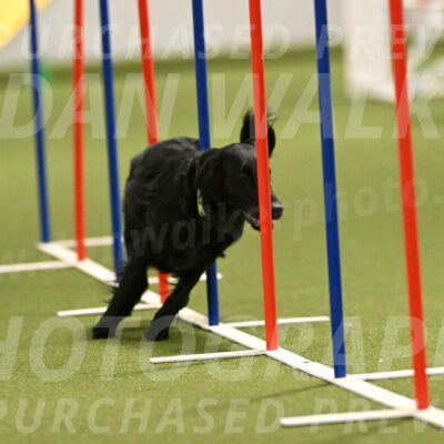 Zinnia-Deborah-Ting-03185