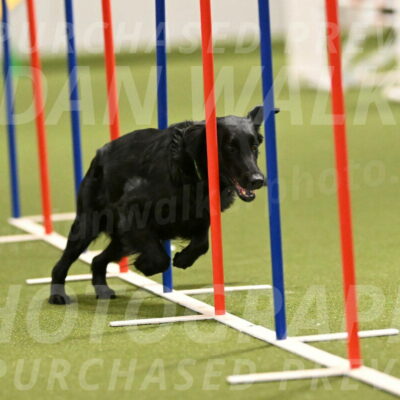 Zinnia-Deborah-Ting-03186