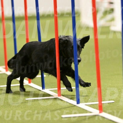 Zinnia-Deborah-Ting-03187