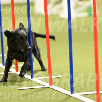 Zinnia-Deborah-Ting-03188