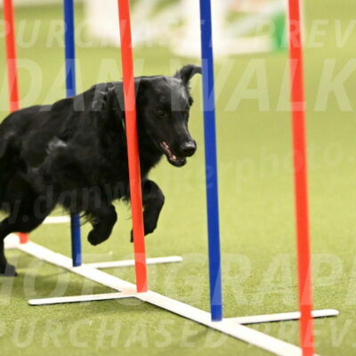 Zinnia-Deborah-Ting-03189