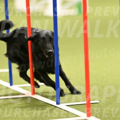 Zinnia-Deborah-Ting-03190