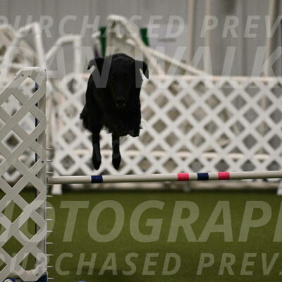 Zinnia-Deborah-Ting-03191