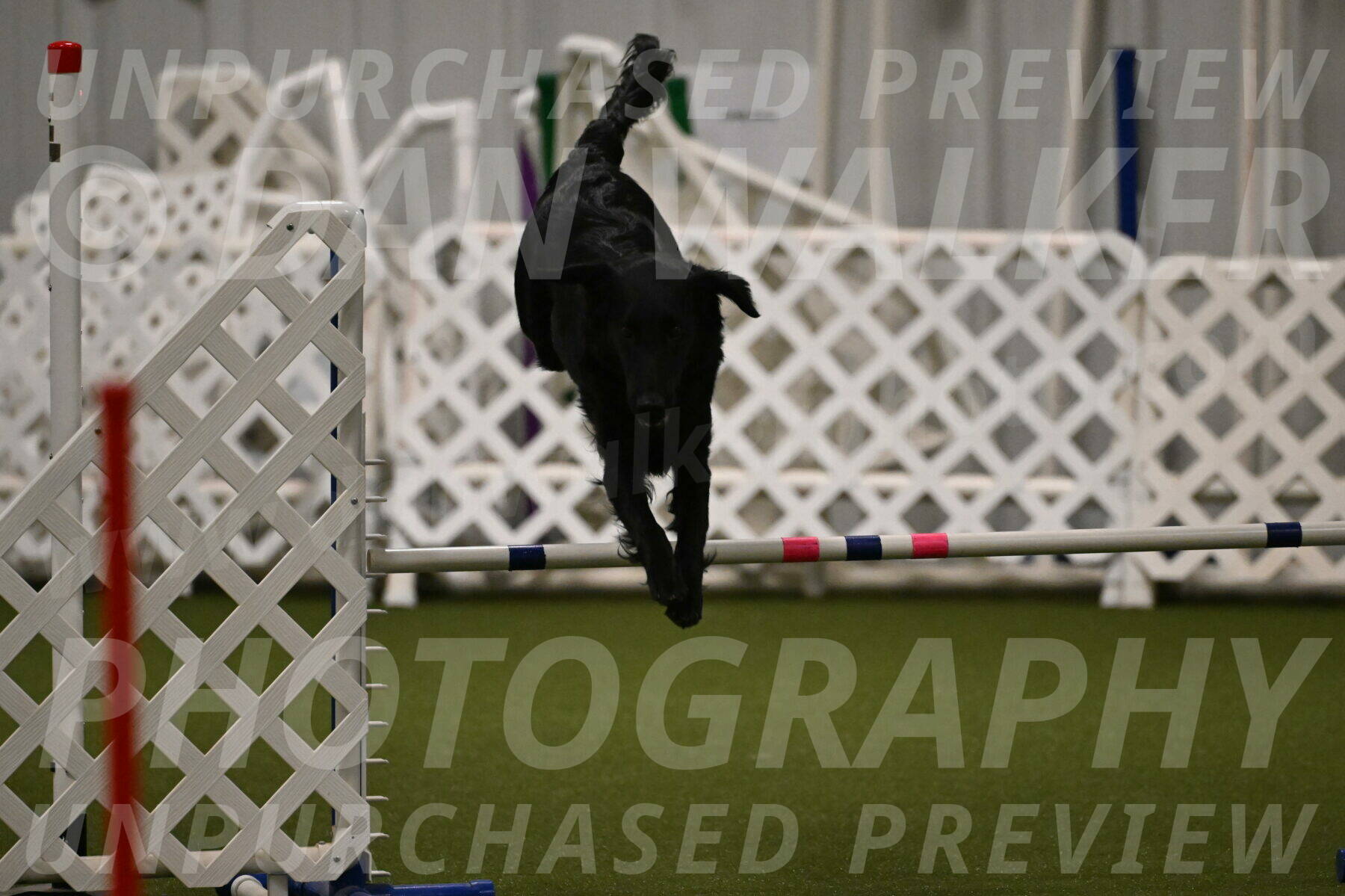 Zinnia-Deborah-Ting-03193