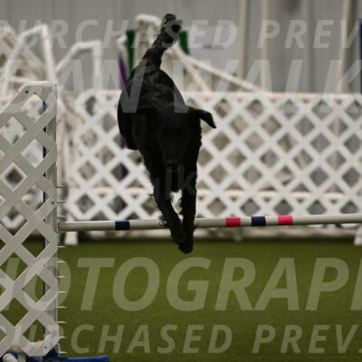 Zinnia-Deborah-Ting-03193