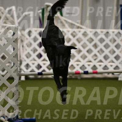 Zinnia-Deborah-Ting-03194